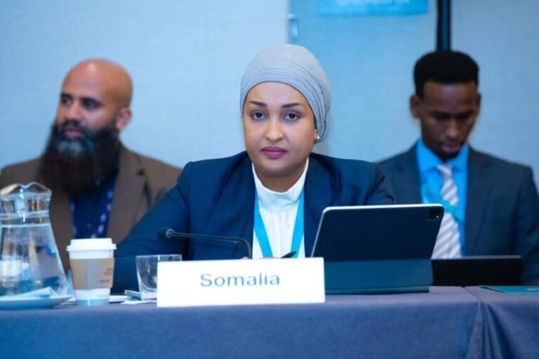 Somali Minister of Environment participated in a conference on the New Climate Budget Goal (NCQG).