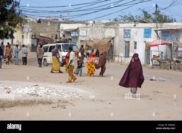 An Armed groups killed civilian in Afgoye District in the Lower Shabelle region.