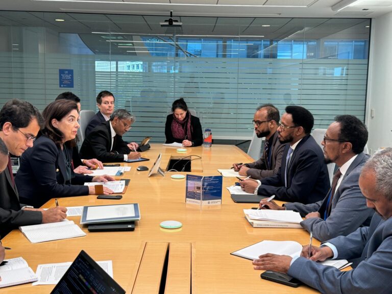 Wasiirka Maaliyadda Soomaaliya oo kulan muhiim ah la qaatay madaxda Bangiga IMF