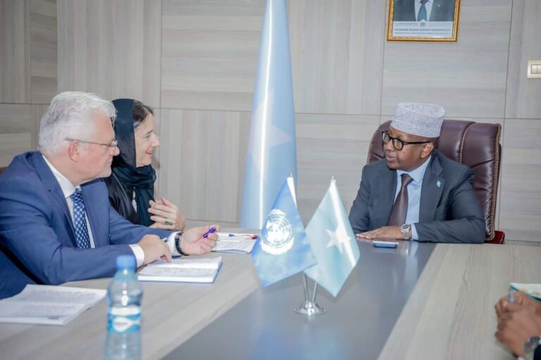 Wasiirka Arrimaha Dibadda oo Qaabilay Ku-xigeenka Agaasimaha Goboleedka ee UNDP