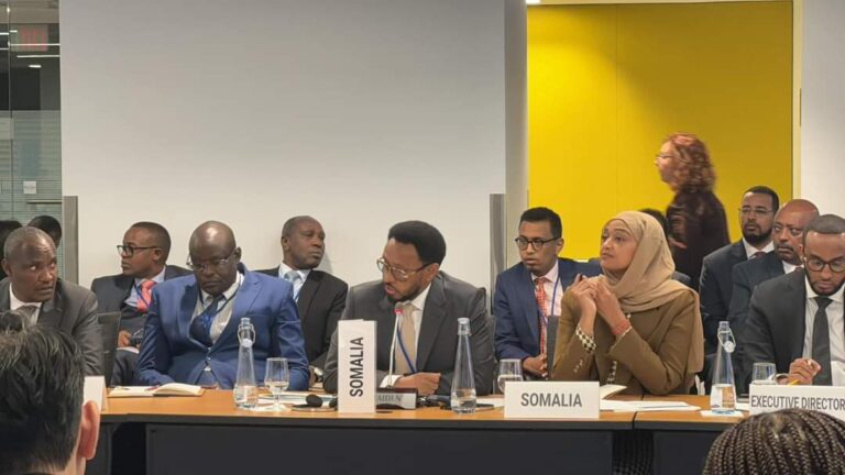 Wasiirka Maaliyadda ee XFS oo ka qeyb galay kulanka Wasiirrada maaliyadda ee dalalka Afrika