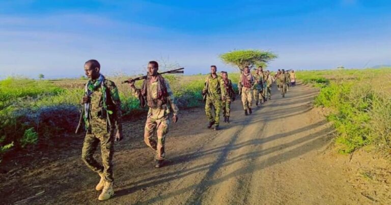Somalia Army is conducting an operation to caught criminals in the areas of Bay and Gedo regions.