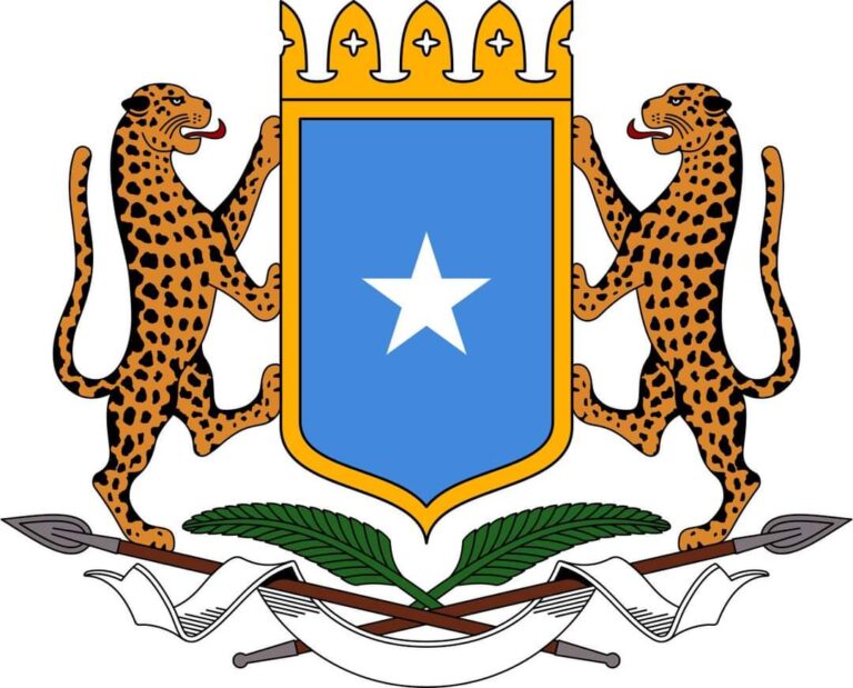 Somalia government welcomed the action taken by the UN Security Council.