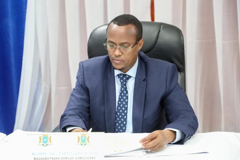 Cali Guudlaawe oo magacaabay hanti dhowraha guud ee Hir-shabeelle