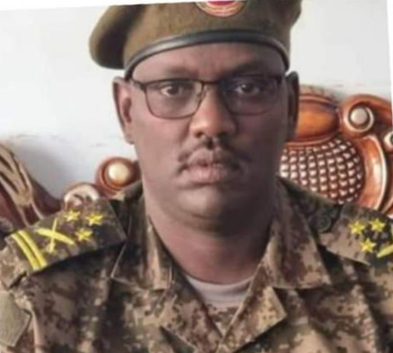 Somalia government ordered the Second Deputy Consul of the Ethiopian Embassy in Somalia to leave the country within 72hours.