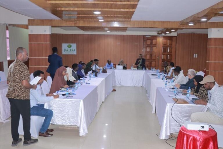 A meeting organized by  Ministry of Fisheries and Blue Economy of Somalia,  opened in Mogadishu.