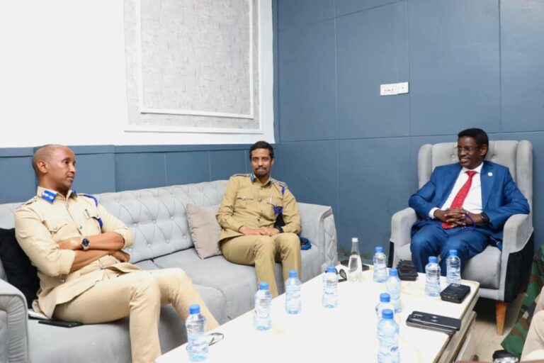 The Minister of Security and other Heads of State inspected the site to ensure the security in Mogadishu.