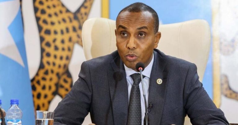 Somalia PM  Hamza appointed his 2nd Deputy Prime.
