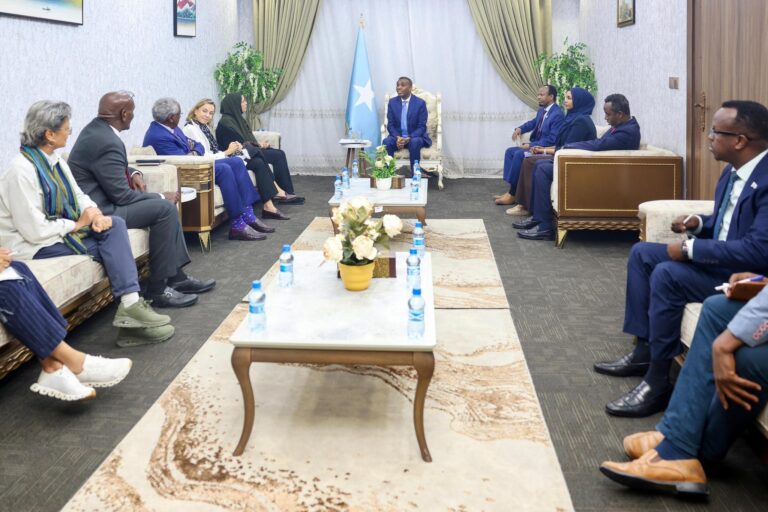 Ra’iisul Wasaare Xamsa oo qaabilay agaasimaha Hay’adda Caafimaadka Adduunka ee WHO