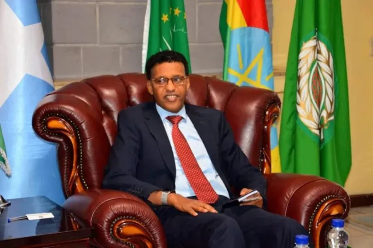 Somali government has given details about Somali migrants who drowned in the Madagascar.