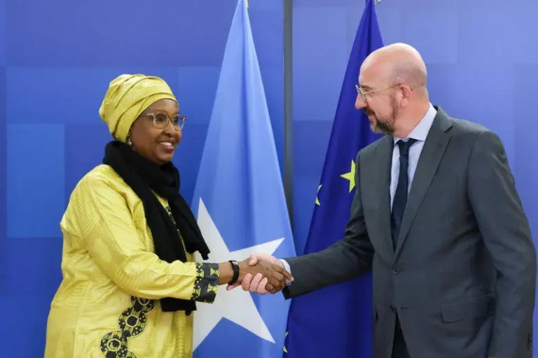 European Union  Chairman received the credentials from the Somali Ambassador to the European Union.