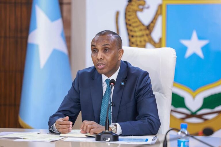Somalia PM Hamsa appointed the Deputy Accountant General.