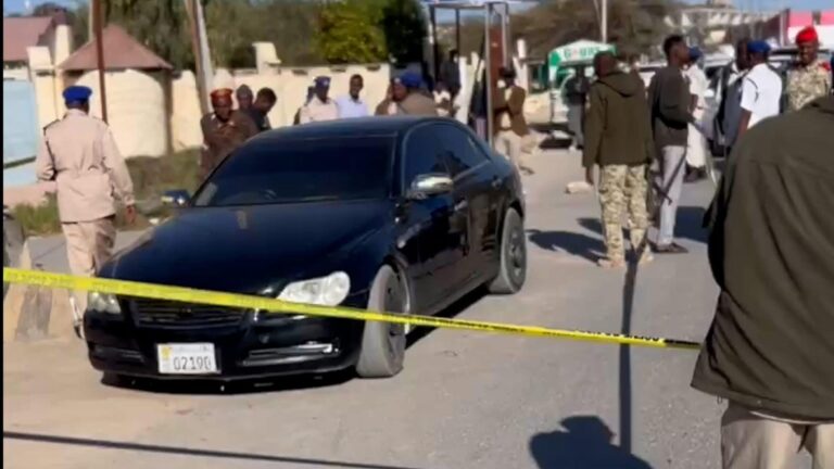 Details of the bodies of two people found in the city of Hargeisa.