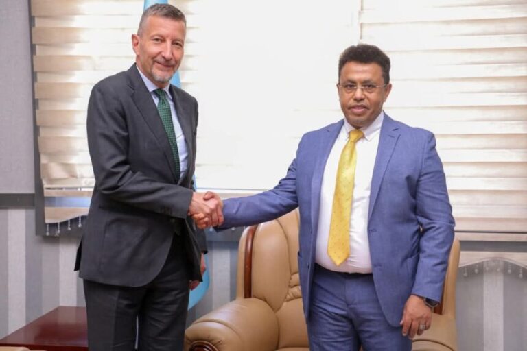 Somalia  Director of the European and American Department received the Ambassador of Switzerland.