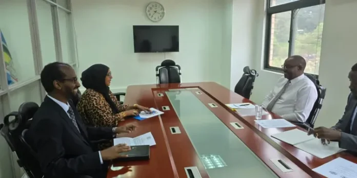 FB_IMG_1733806878069