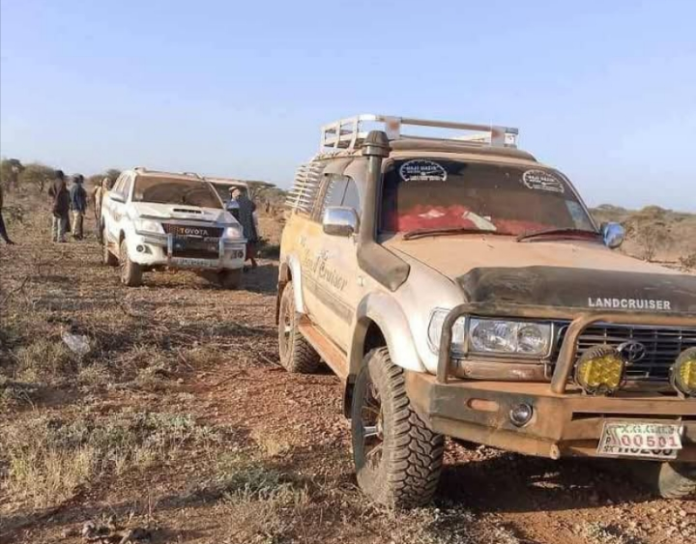 Polish_20241225_080426077