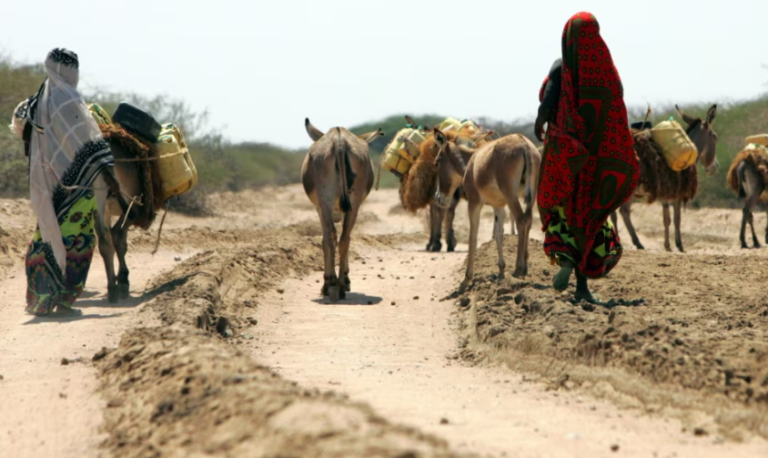 Dad biyo la’aan ugu dhintay deegaano katirsan Wajeer