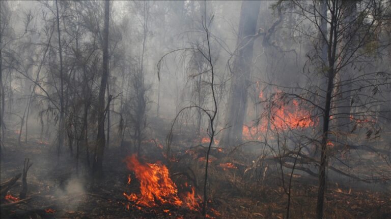 Residents in southern Australia flee threatening grassfire on Christmas Day.