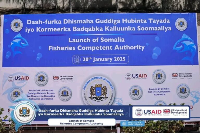 A meeting to establish Somali Fish Safety and Quality Assurance  open soon in Mogadishu.