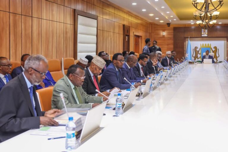 Maxey yihiin guddiga ay golaha wasiirada u sameeyen mudda cusbooneysiinta ah ?