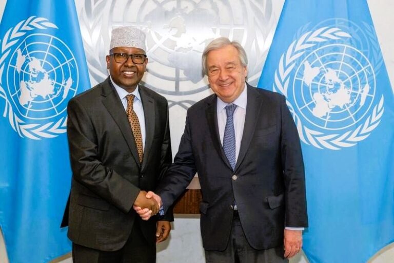 Somalia Minister of Foreign Affairs and International Cooperation spoke  at the UN Security Council session