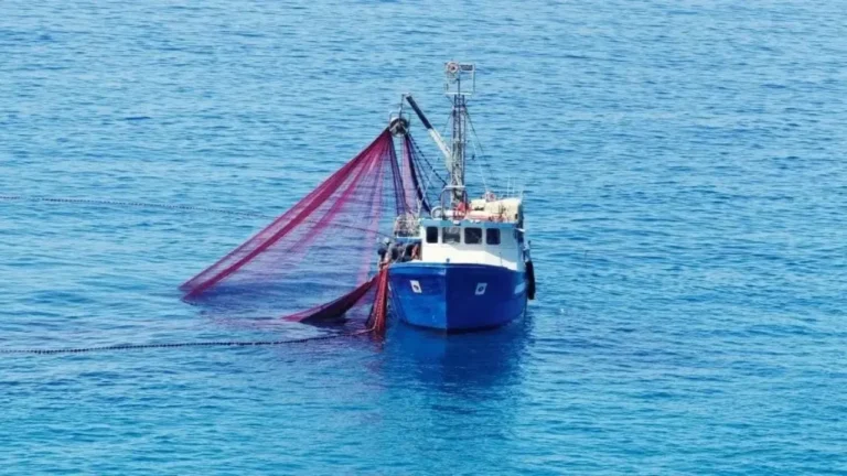 Chinese Fishing Vessel and Crew Released After Hijacking Off Somali Coast