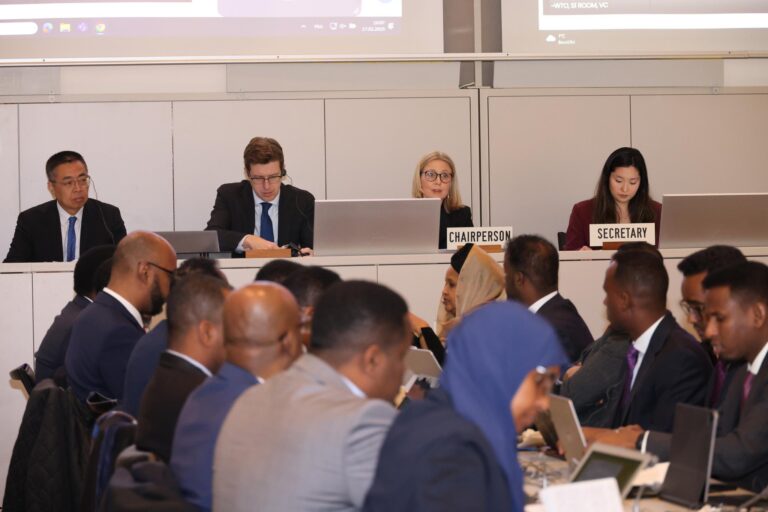 Wefdi ka socda dowladda Soomaaliya oo Geneva uga qeyb galay kulan muhiim u ah dalka