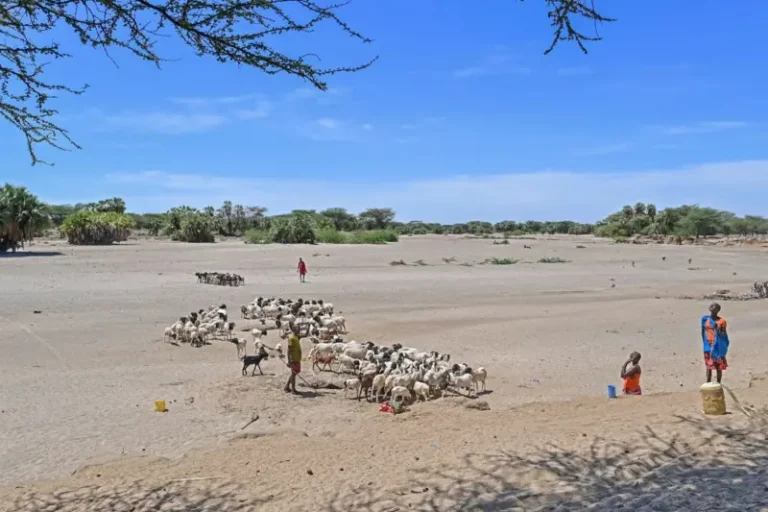 Kenya, Ethiopia border war which many  people died .