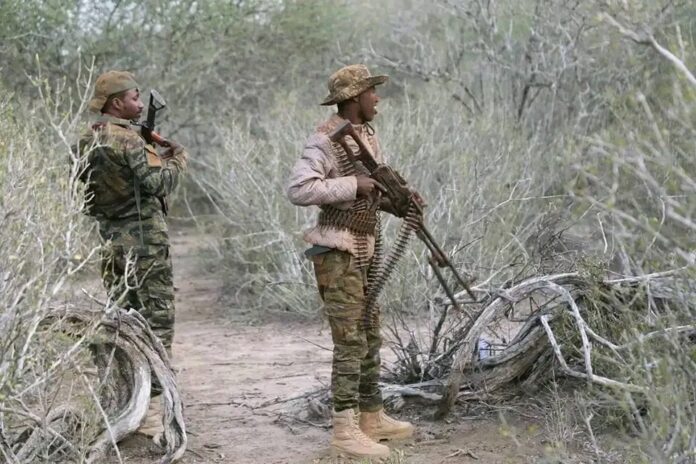 485666637_1048546977299381_5230655509323066947_n