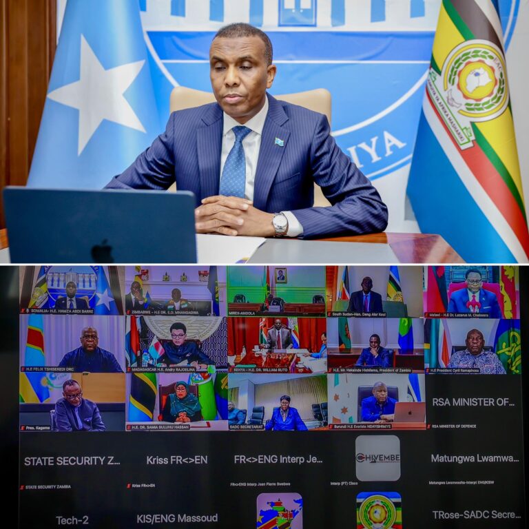 Somalia PM participated in a joint summit held by EAC and SADC.