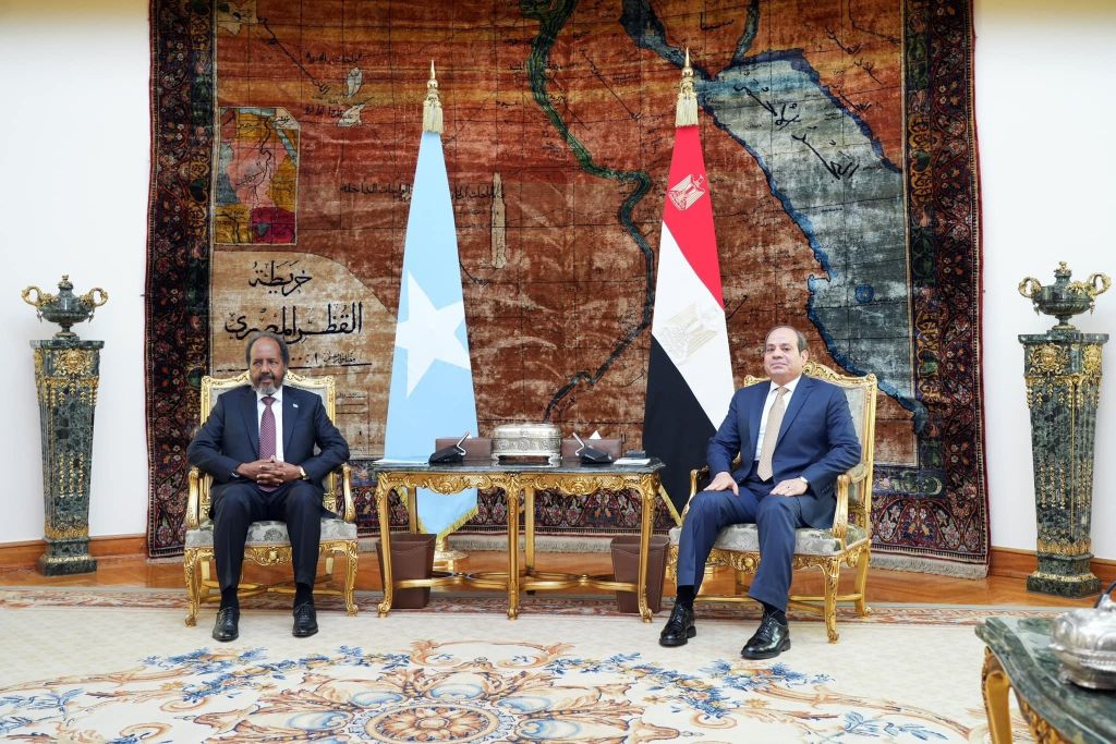 Abdel Fattah el-Sisi - Hassan Sheikh Mohamud meeting in Cairo