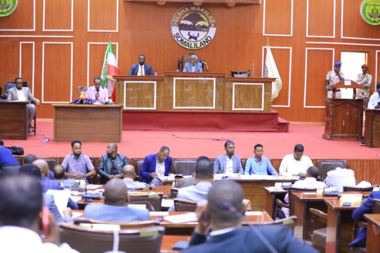 A Call for Thoughtful Selection of Parliamentary Candidates: Ensuring Qualifications and Integrity ( Ali Abdi Hersi).