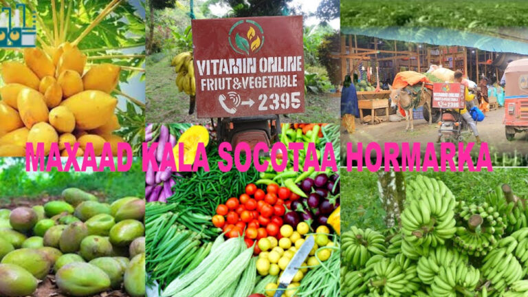 WARBIXIN “Kii yaanyada gadaayay inaad idhahdo sharaf Ayeey ii tahay”