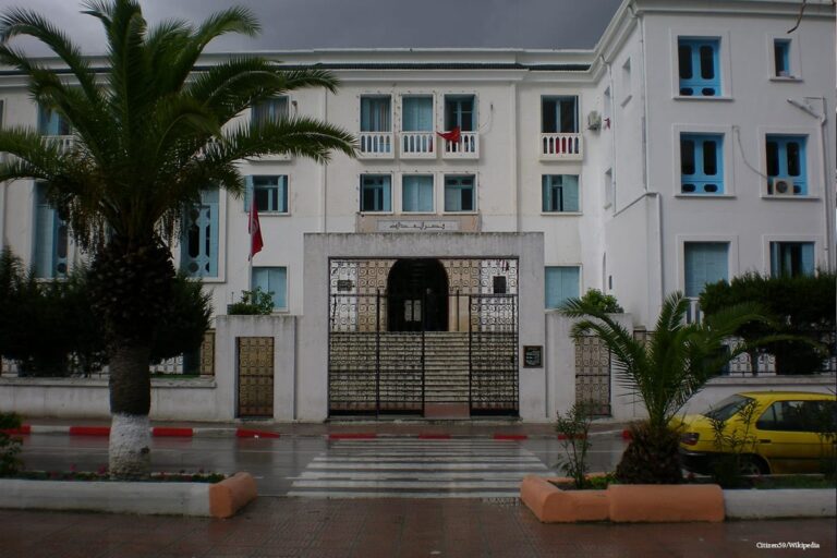 Tunisian court hands opposition figures lengthy jail terms