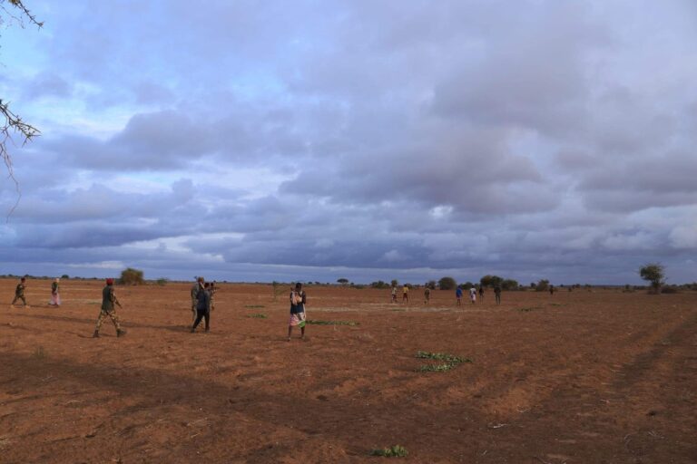 Ciidanka Xoogga oo ku sii dhowaanaya deegaannada Afarta Tuulo