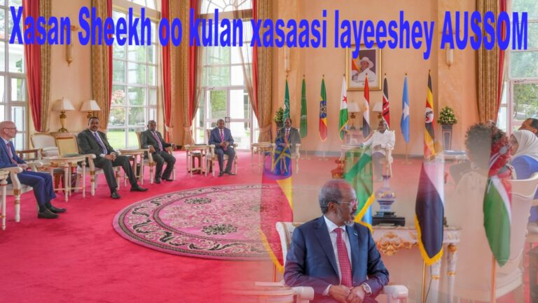 Xasan Sheekh oo kulan xasaasi ah la qaatay madaxa AUSSOM..