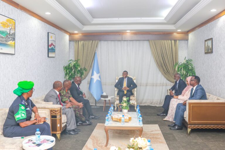 Somalia PM held a meeting with  the Acting Special Representative of the Chairperson of the African Union Commission (SRCC) .
