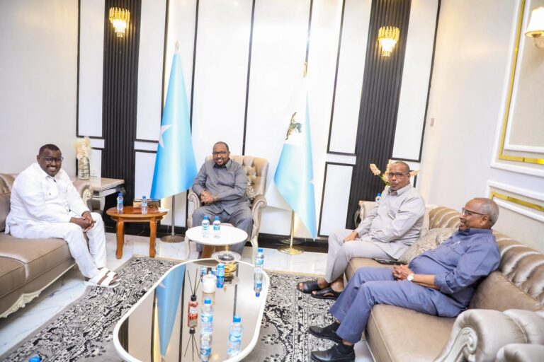 SSC-Khatumo president Holds Meeting with Acting Speaker of the House of the People