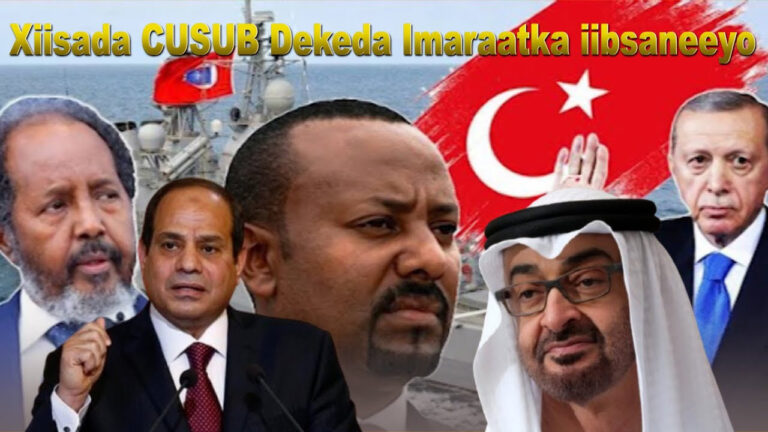 DEG DEG” Imaaraatka Oo Xiisad Cusub Ka Bilaabey Africa+Deked uu ka iibsadey Masar