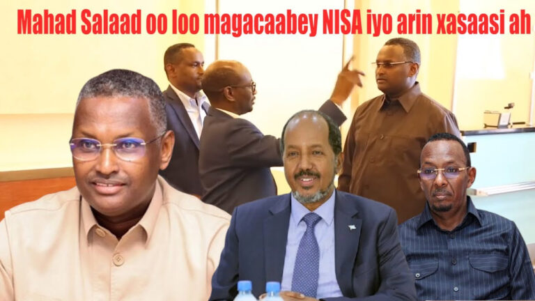 Mahad maxamed salaad oo markele loo magacaabey NISA..