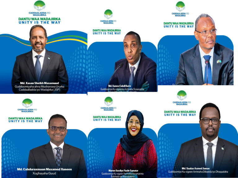 Justice and Unity Party (JSP) Elects President Hassan Sheikh Mohamud as Party Chairman