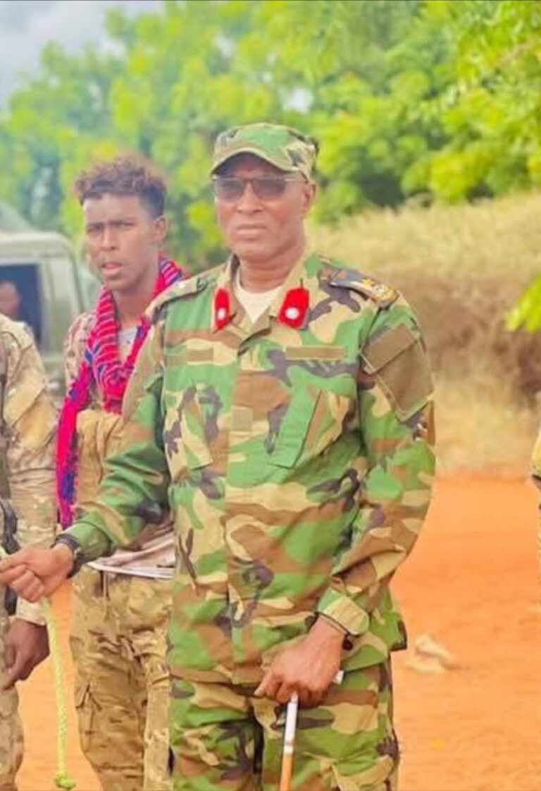 War Degdeg ah: Taliyihii Guutada 26aad ee Gobolka Hiiraan oo lagu dilay gudaha ciidankiisa