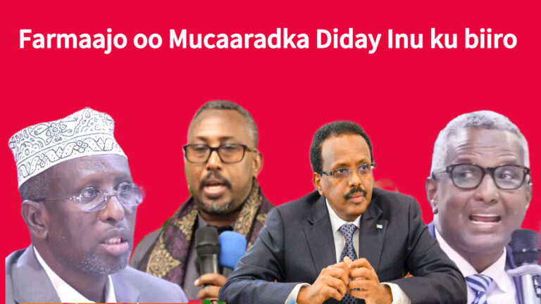 “Farmaajo anigu uma hadli karo haddii uu kaligiis guuleysan karo iyo hadii uu Mucaaradka ku…