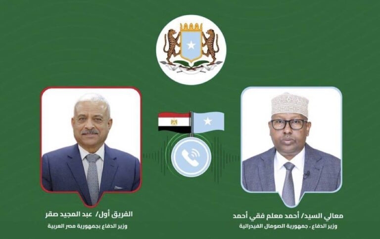 Somalia discusses with Egypt the improvement of its military capabilities.
