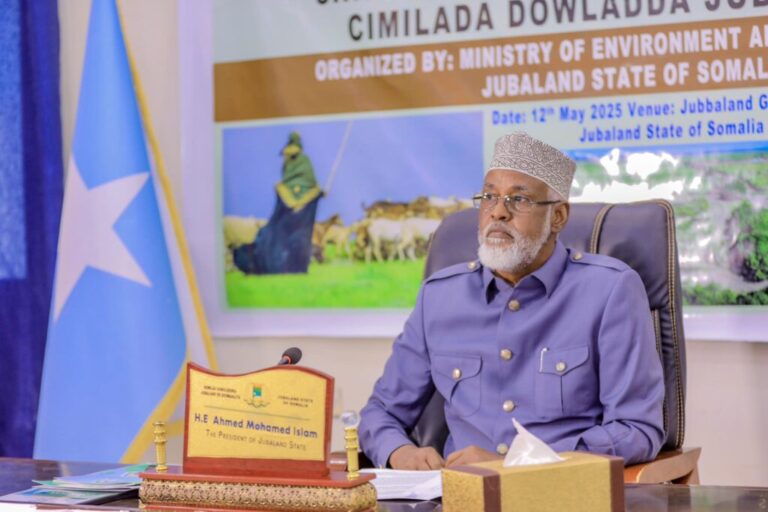 Jubbaland: “The country is in a dangerous and authoritarian state.”