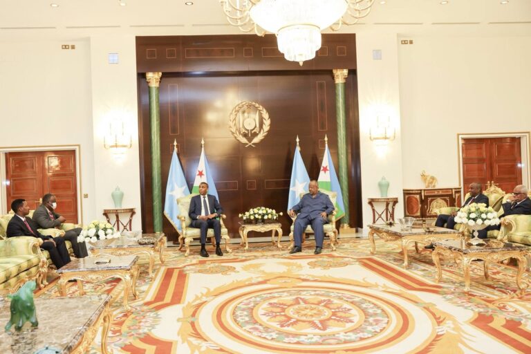 What did PM Hamsa and President Guelleh discussed ?