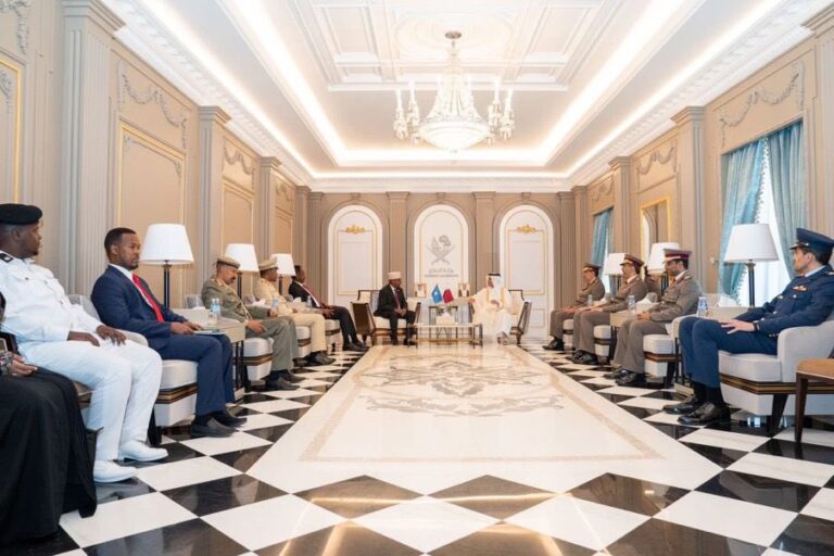 Somalia, Qatar held a high-level talks in Doha.
