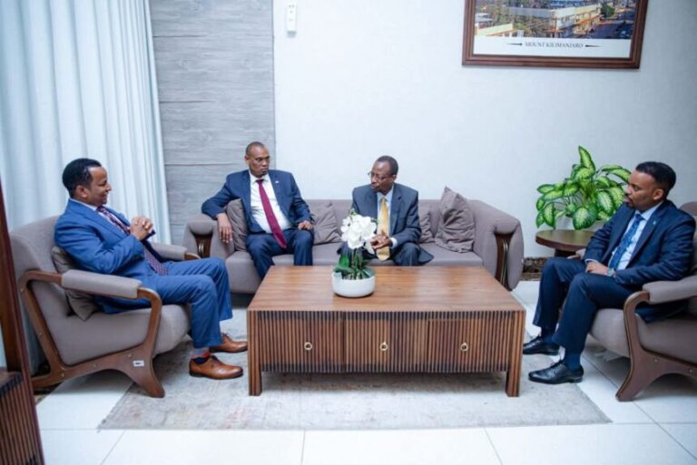 Somali Foreign Minister meets with Tanzanian leaders for development projects.