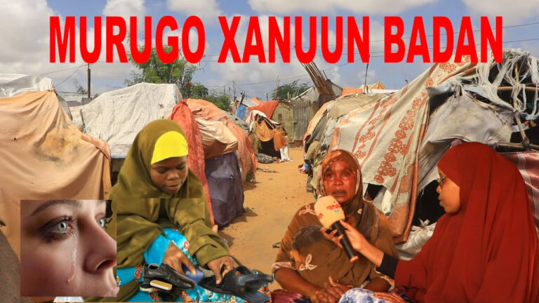 Gabar casaye ah oo 13 jir ayaa dhoor mar ka badbaadiy isku dey kufsi..