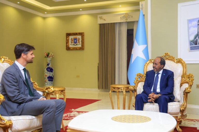 Somalia President receives credentials from British Ambassador.